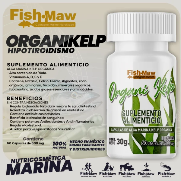 Organi Kelp  |  Suplemento Alimenticio - Imagen 4
