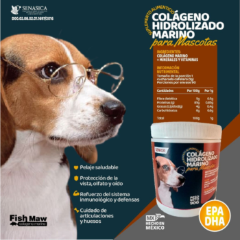 Colágeno Hidrolizado Marino para Perros Senior | Suplemento Alimenticio